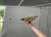 Zebra finches all colours ready now