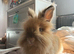 Casper