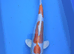 HUGE VARIETY PREMIUM KOI