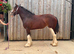 SHIRE FILLY