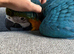 HAND-REARED BLUE & GOLD MACAW BABY – LOVELY FRIENDLY BABY