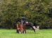 Super fun mare to share