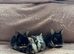 4 English Lop X Netherland Dwarf Babies