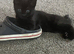 3 black kittens