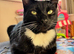 Luna, Rehoming