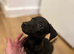 Patterjack boy!!!!
