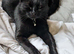 Meet B-Leigh - A Big Softie with a gentle soul