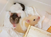 Litter of babies looking for their home