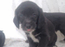 2 male black n white