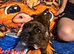 Little patch