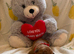 Kc reg Dogue de Bordeaux