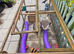 2 pet ferrets with cage and run