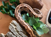 Madagascar ground boa