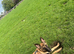 6 month old Belgium Malinoi