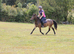 PONY CLUB/ALL-ROUNDER