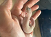 Two young - juveniles leopard geckos