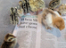 Eggs, Day olds to 4 weeks old