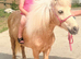 Registered Shetland palomino mare.