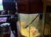 REDUCED *Large Bespoke Wooden Fish Tank For Sale