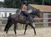 Mike- stunning black 15.3h 6 yrs all rounder ROR jumper