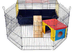 Guinea pig cage