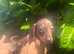 Dapple dachshunds