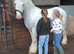 Chunky 13hh 6yo gelding