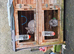 2 adults rabbits male and female