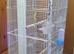 2 Baby budgies for sale with cage