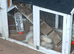 Work or pet ferret kits
