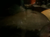 Large fish for sale