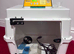 Brinsea brooder