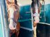 14.1hh Allround Family Mare