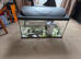 Tetra fishtank and stand