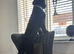 2 year old black labradoodle