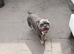 Male and female urgent home required