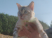 Bengal young tenager boy
