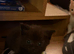 2 Black Boys kittens