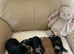 cockapoo puppies