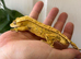 Various Crested Geckos