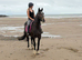 14.2/3H - 4Yo - Irish - Bay - Gelding