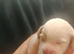 Miniature Australian Labradoodle Puppies.
