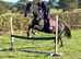 14.2 Fun Mare