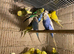 Lots of young budgies available