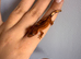 Baby Crested Geckos