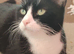 Not ready yet loving forever homes only