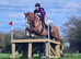 Chestnut mare