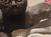Luna looking for a new home