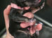 Patterdale mix