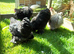 2025 BRED PEKIN BANTAMS SMOOTH AND FRIZZLED.